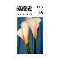 The Tango Stamp