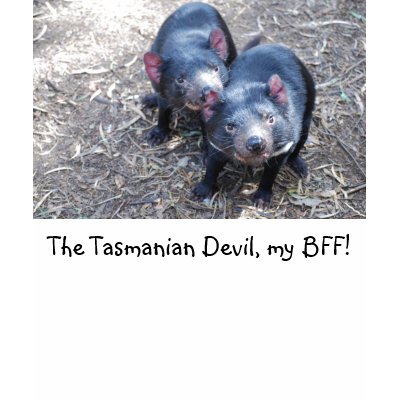 The Tasmanian Devil, my BFF! Shirt by catherinesherman