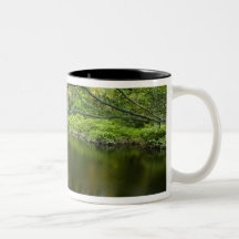 The Taunton River in Bridgewater, 2 Mugs