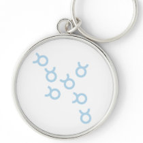 The Taurus Keychain