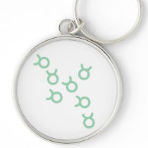 The Taurus Keychain