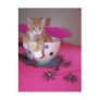 The tea cup fairy post cards