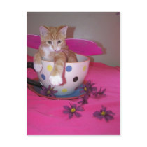 The tea cup fairy postcards