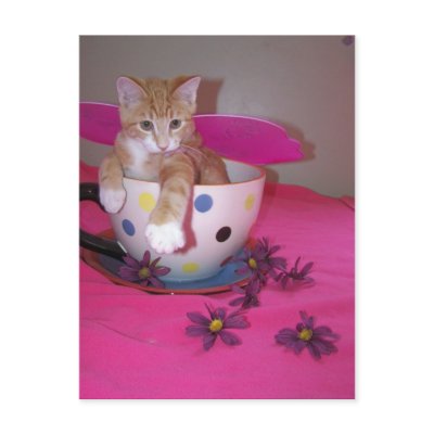 The tea cup fairy post cards by KatAnnette