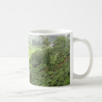 The Tea Mug mugs