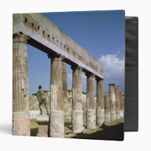 The Temple of Apollo Vinyl Binder