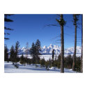 The Tetons in February posters