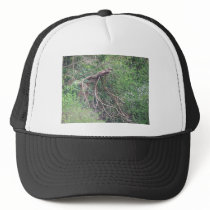 The Thing hats
