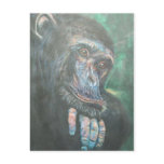 'The thinker' Postcard