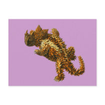 The thorny devil post cards