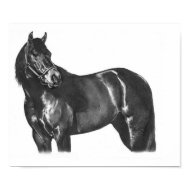 The Thoroughbred Poster print