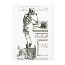 The Thoughtful Skeleton Post Cards