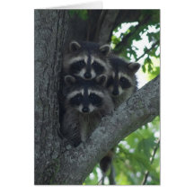 The Three Amigos Card
