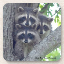 The Three Amigos Coaster cork coasters