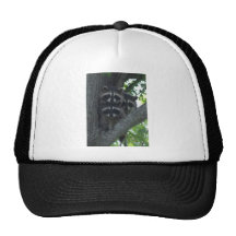 The Three Amigos Hat