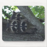 The Three Amigos Mousepads