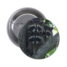 The Three Amigos Pinback Buttons