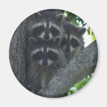 The Three Amigos Refrigerator Magnets