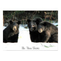 The Three Bears, The Three Bears posters by pineneedlecards The Three Bears, The Three Bears posters