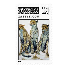 The three graces, Cheetahs Stamp