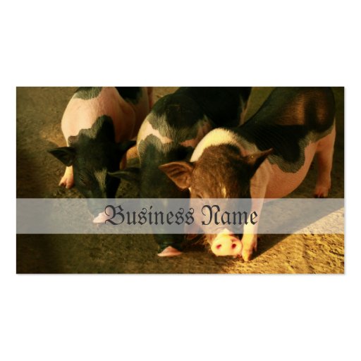 The Three Little Pigs Business Card Template (front side)