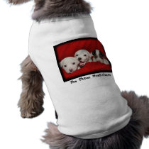 The Three Muskateers pet clothing by blinkywa The Three Muskateers pet clothing