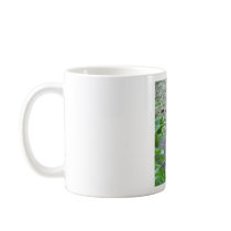 The Three Raccoons Mugs