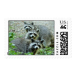The Three Raccoons postage