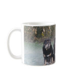 The Tibetan Mastiff Gang mugs