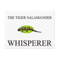 The Tiger Salamander Whisperer postcards by AnimalShirts The Tiger Salamander Whisperer postcards