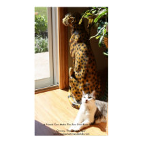 The Tiniest Tiger & Bad Kitty posters