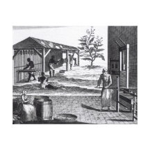 The Tobacco Manufactory in Different Branches Gallery Wrapped Canvas