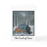 cards, native, american, fine, art, people,