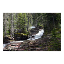 The trail to Virginia Falls, Glacier Park MT. posters