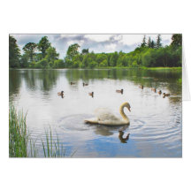 The Tranquil Lake Greeting Cards