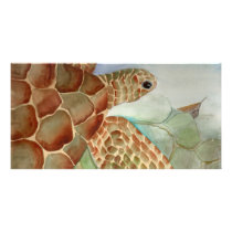 The Traveler photo cards by Lamart_Designs The Traveler photo cards