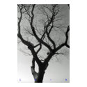 The Tree (2) posters by Tallasianx The Tree (2) posters
