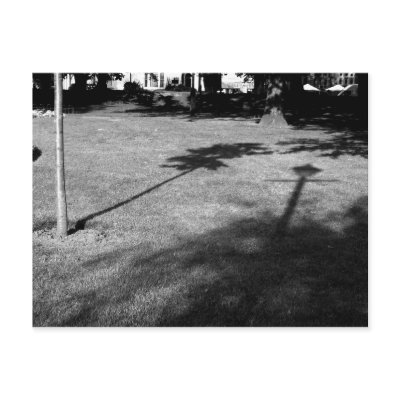 The Tree and the Lamppost were Friends Postcard by artberry