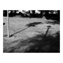 The Tree and the Lamppost were Friends posters by artberry The Tree and the Lamppost were Friends posters