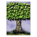 The tree cards