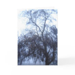 The Tree-Greeting Card