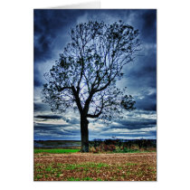 The Tree HDR card cards