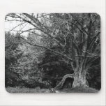The Tree Mouse Pad