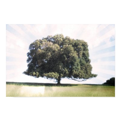 The Tree of Life. Poster by lordthaddius