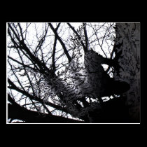 The Tree Ogre postcards