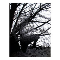 The Tree Ogre posters