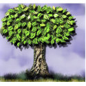 The tree photo sculptures