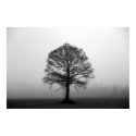 The Tree posters by iiiyaaa The Tree posters