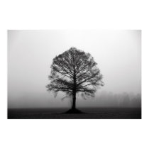 The Tree posters by iiiyaaa The Tree posters