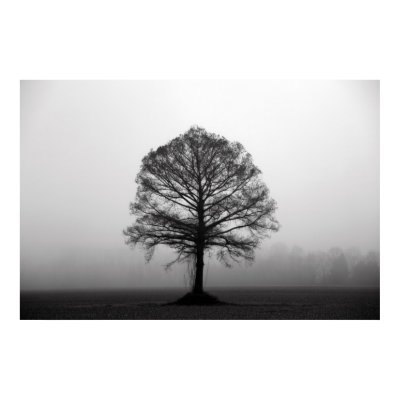 The Tree Poster by iiiyaaa